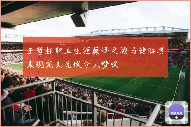 王哲林职业生涯巅峰之战马健称其表现完美无瑕令人赞叹